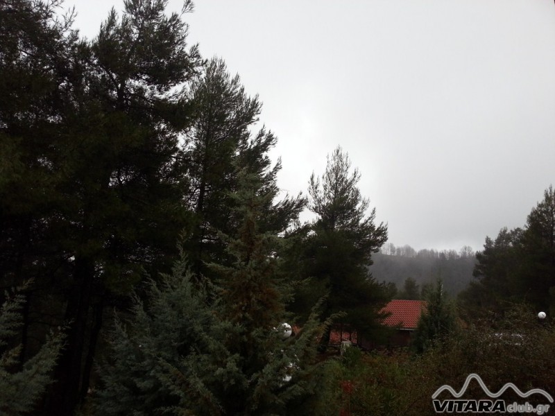 20130215_165402 .jpg