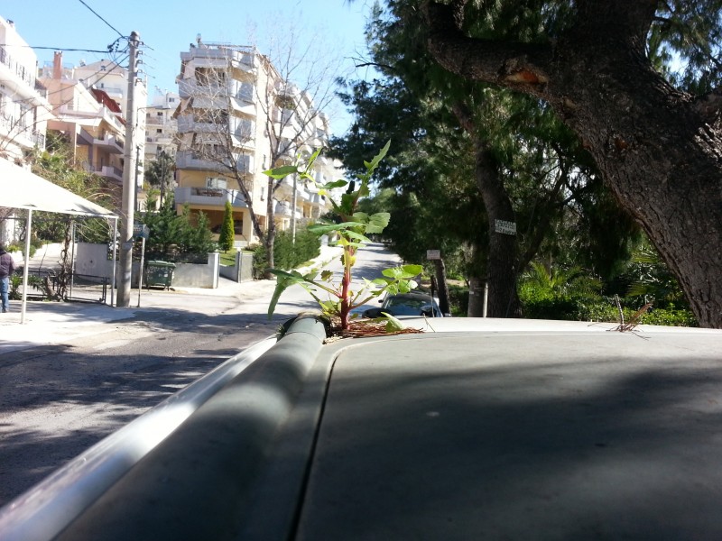 20130220_131936.jpg