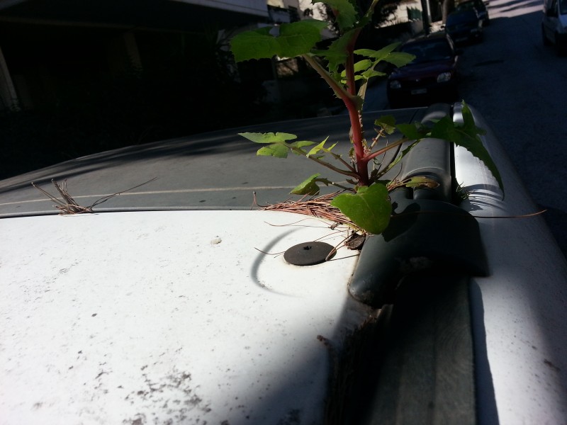 20130220_131921.jpg