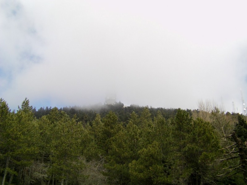 IMAG0017.jpg
