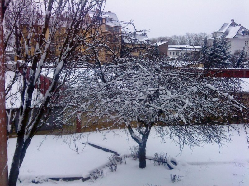 1xioni_1024x768.jpg