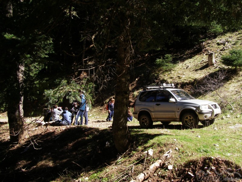 P3233975.JPG