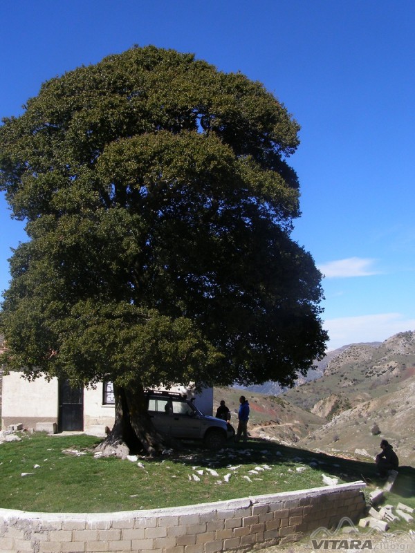 P3244063.JPG