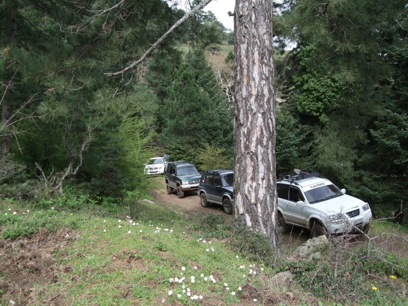 DSCF0090.JPG