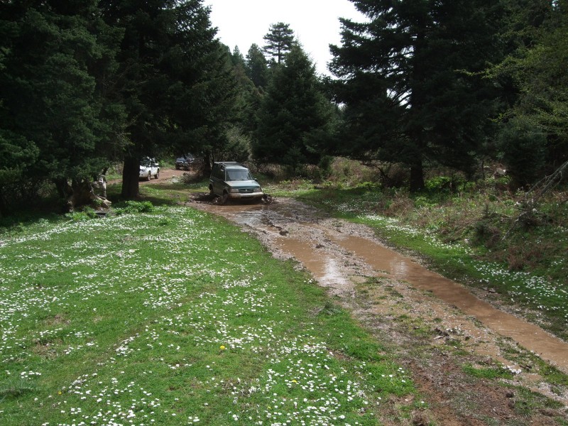 DSCF0095.JPG