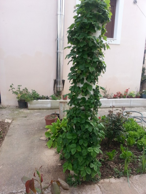 20130402_183241.jpg