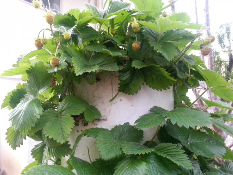 20130402_183310.jpg