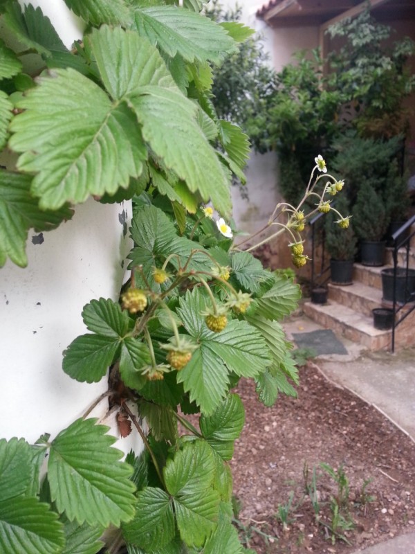 20130402_183339.jpg