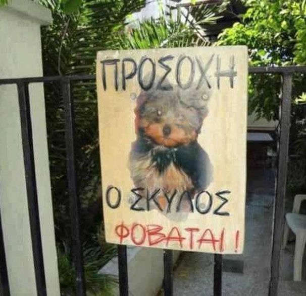 skylos.jpg