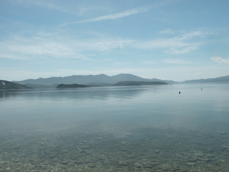 DSCN7044v.JPG