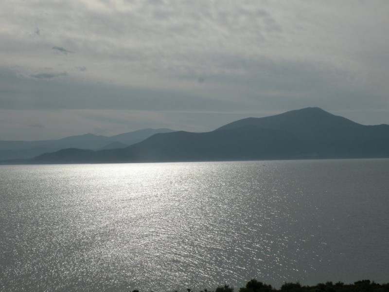DSCN7084v.JPG