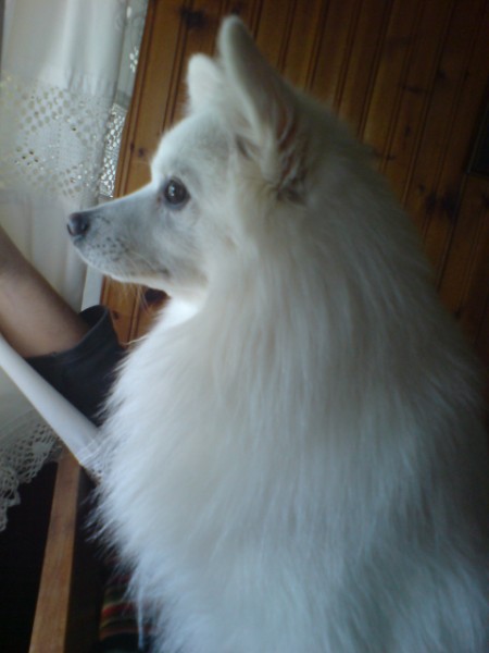DSC00710 (450 x 600).jpg