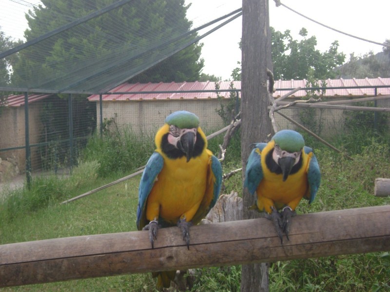 DSC01568.jpg