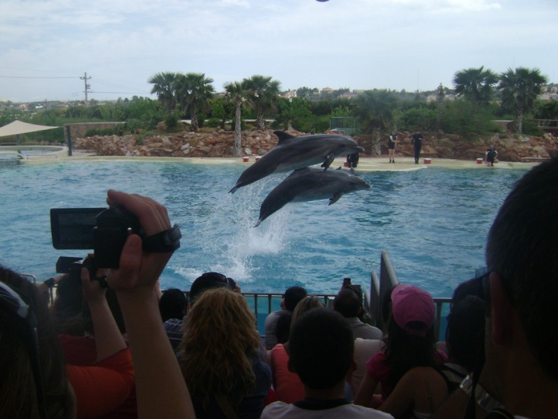 DSC01506.jpg
