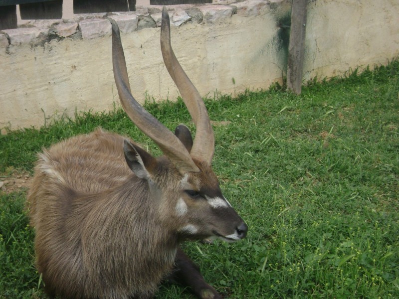 DSC01556.jpg