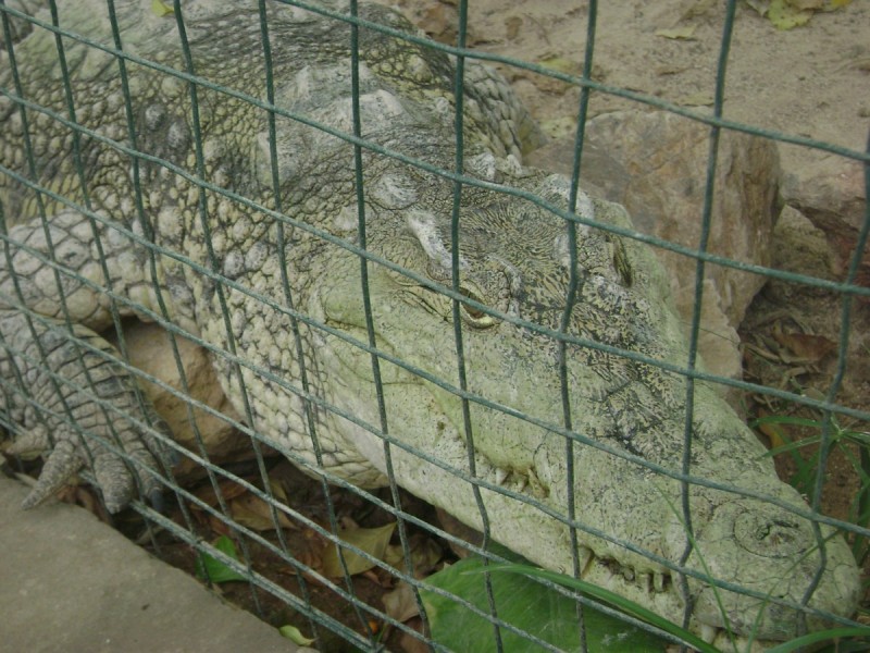 DSC01548.jpg