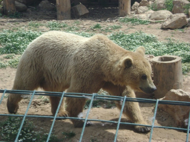 DSC01499.jpg