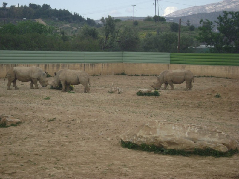 DSC01530.jpg