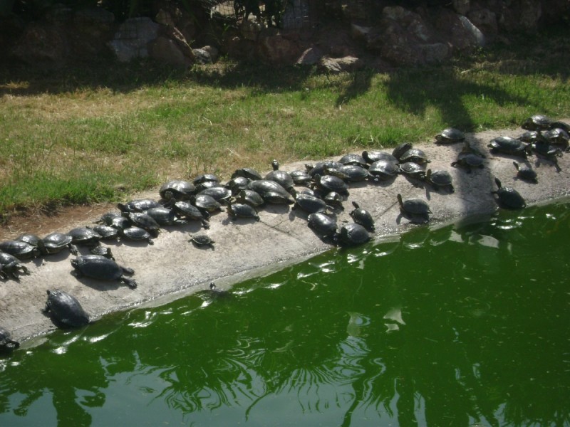 DSC01483.jpg