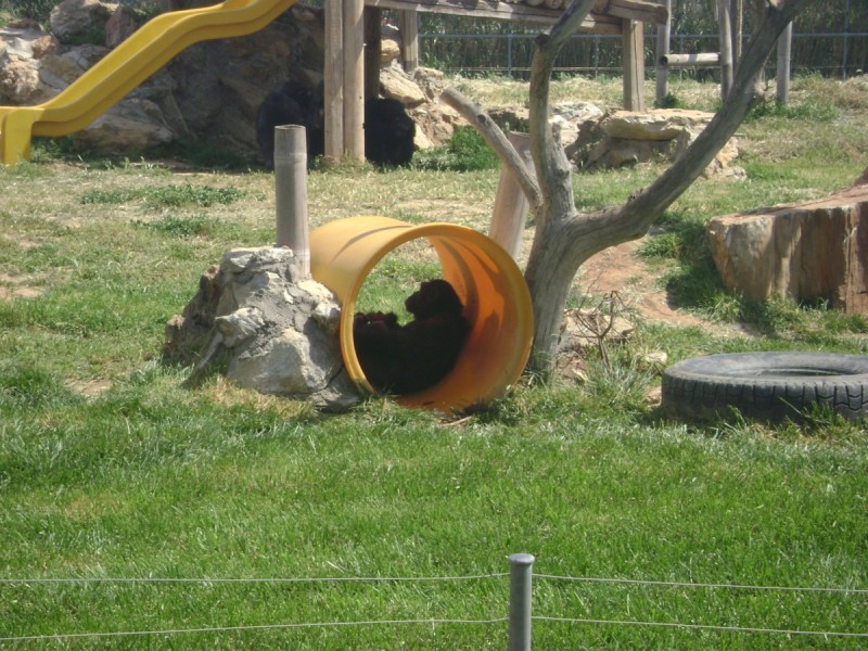 DSC01484.jpg