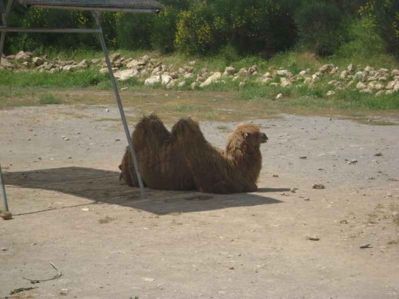 DSC01486.jpg