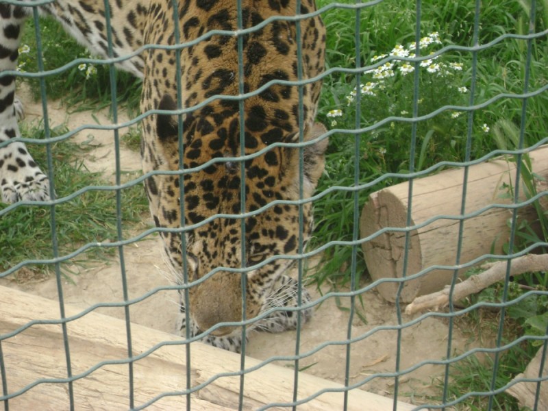 DSC01513.jpg