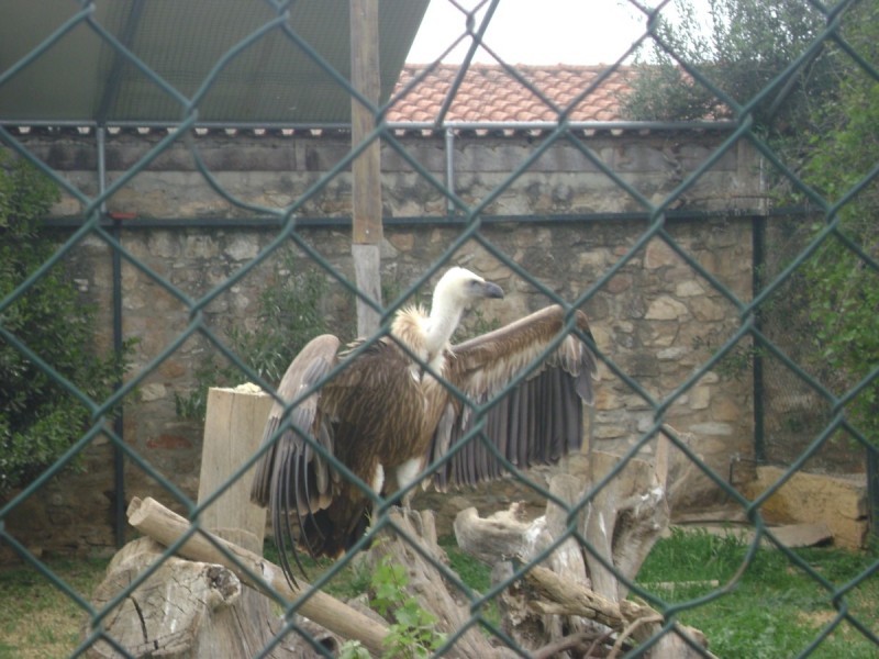 DSC01532.jpg