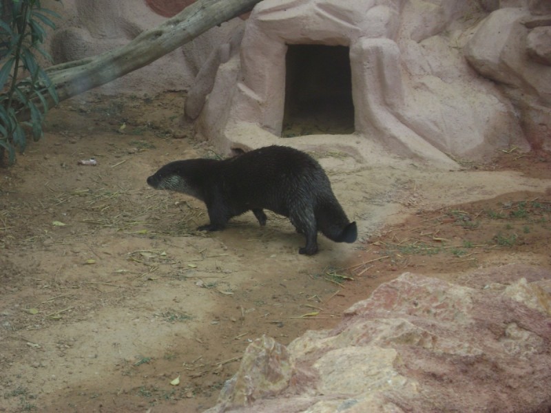 DSC01536.jpg