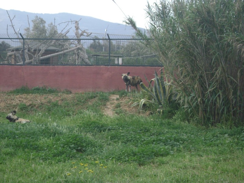 DSC01559.jpg