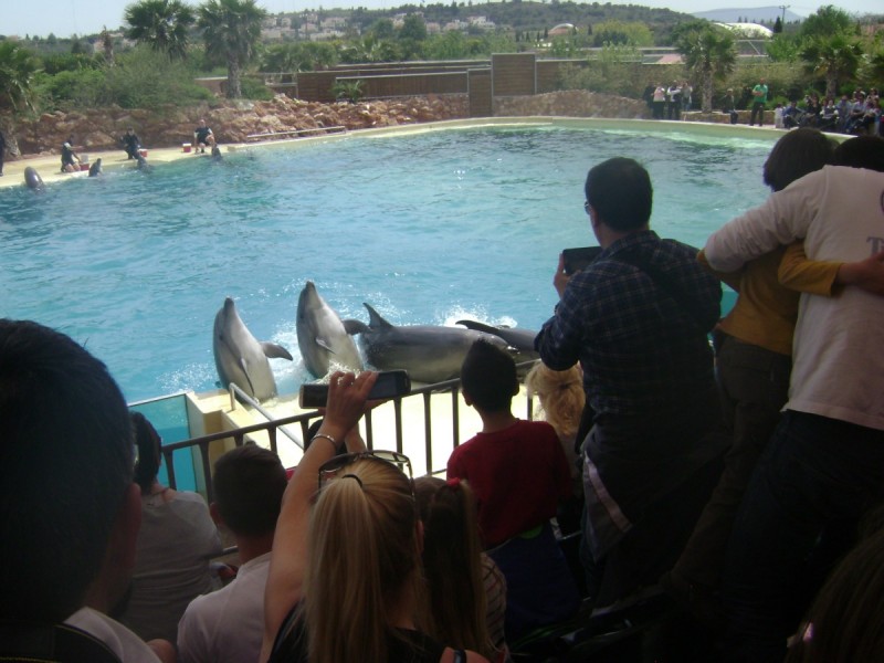 DSC01508.jpg