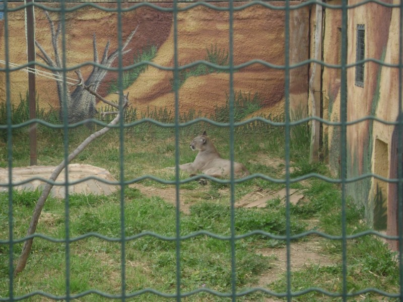 DSC01517.jpg