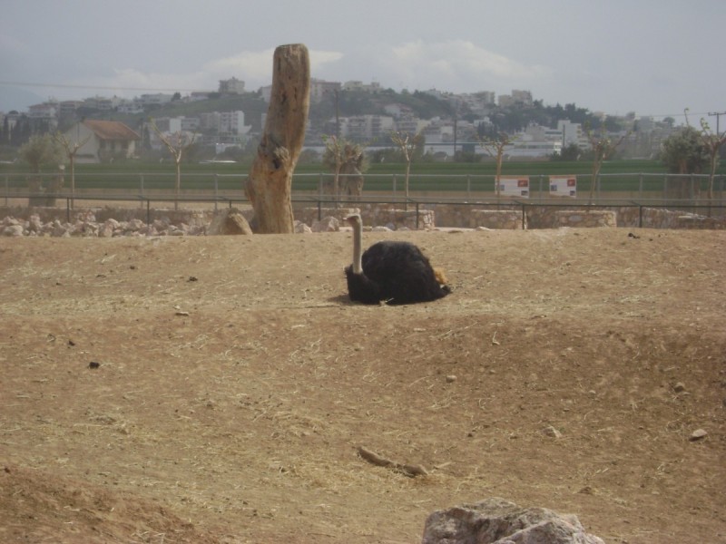 DSC01563.jpg
