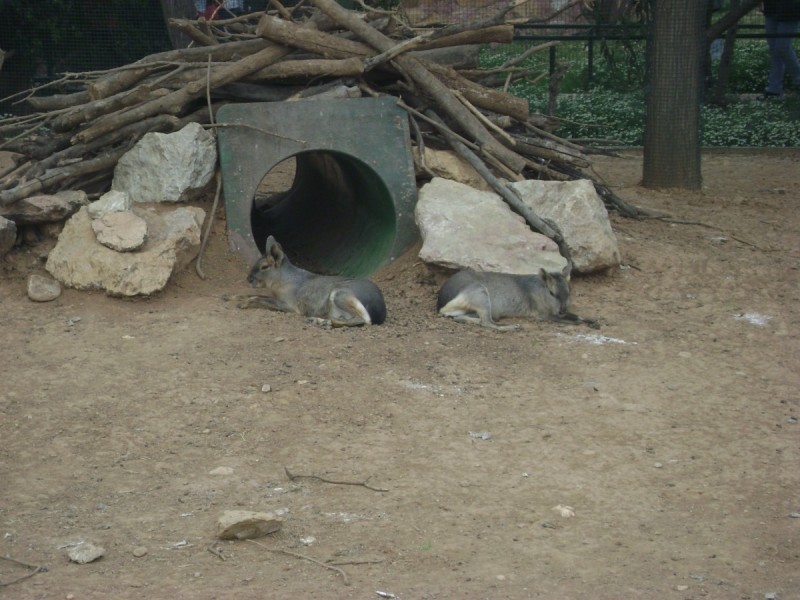 DSC01564.jpg