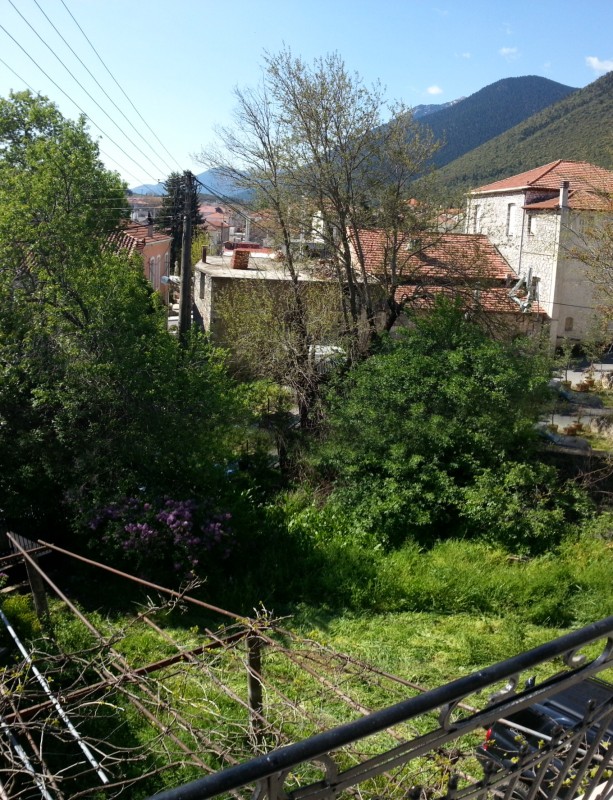 20130420_103759.jpg