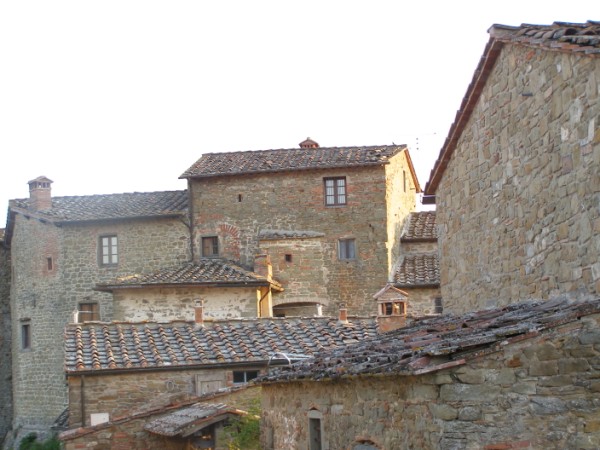 P4098599.jpg