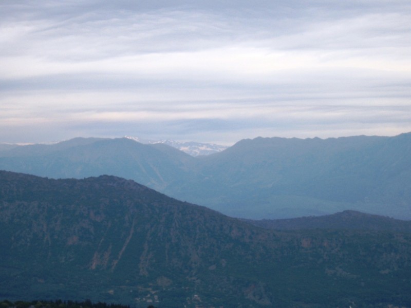 IMG_8293.jpg