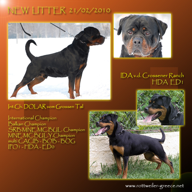 Llitterfront%20copy.jpg