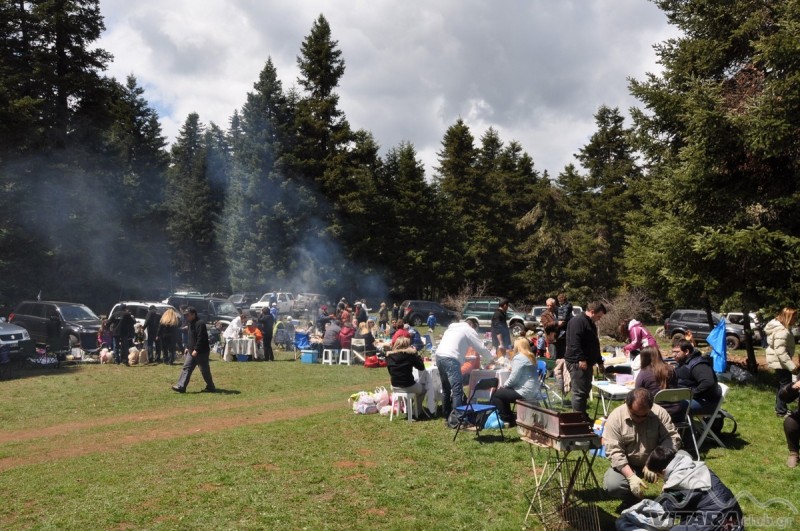 DSC_0264.jpg