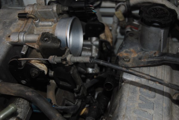 DSC_0044 (600 x 402).jpg
