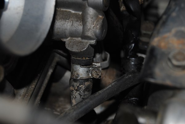 DSC_0045 (600 x 402).jpg