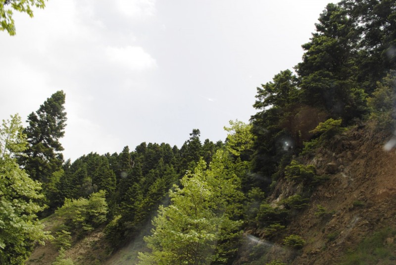 _DSC9177.jpg