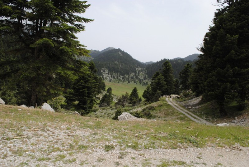 _DSC9295.jpg
