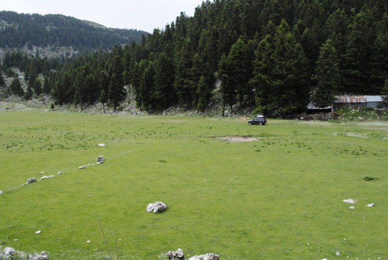 _DSC9306.jpg