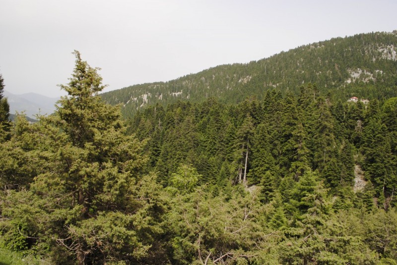 _DSC9317.jpg