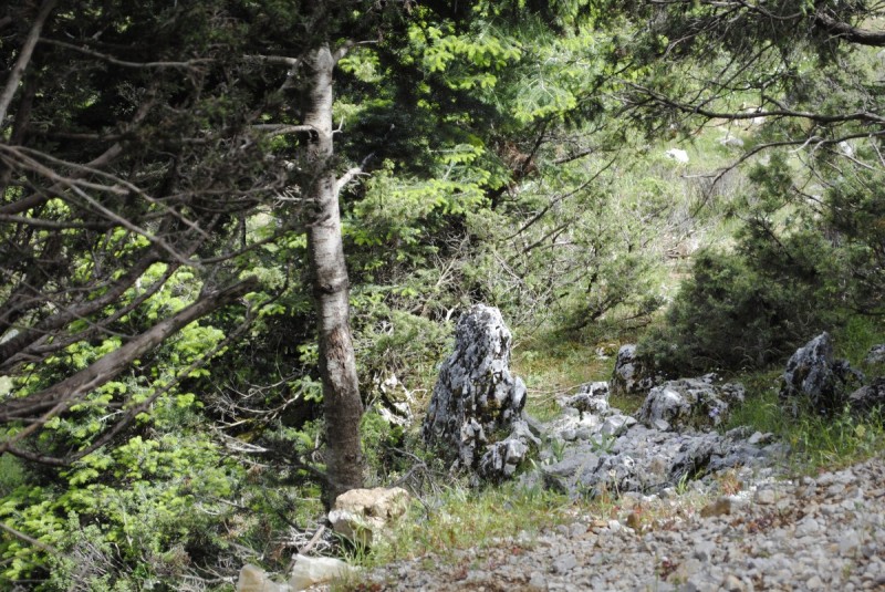 _DSC9325.jpg