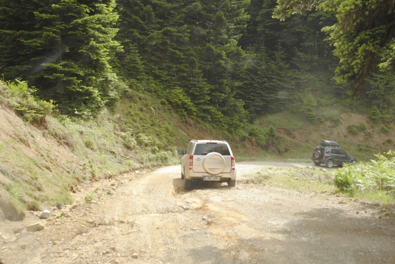 _DSC9333.jpg