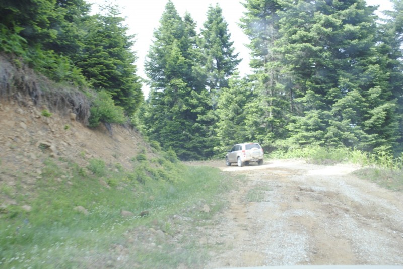 _DSC9335.jpg