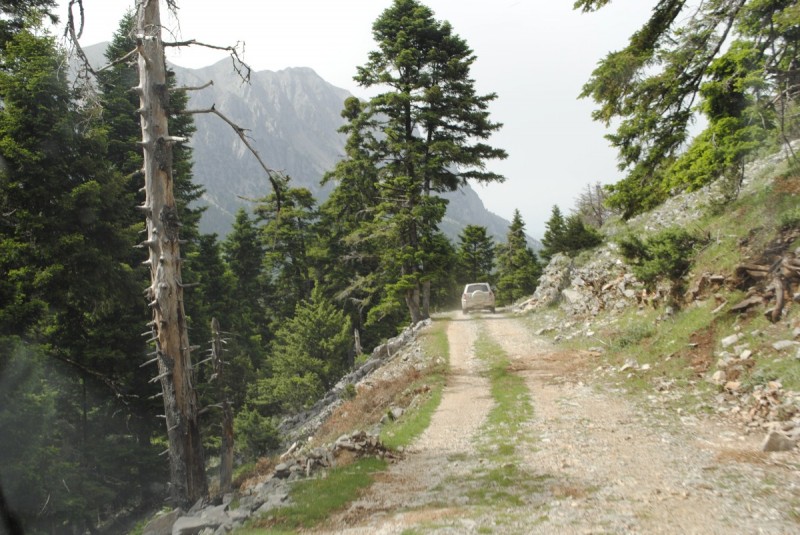_DSC9342.jpg