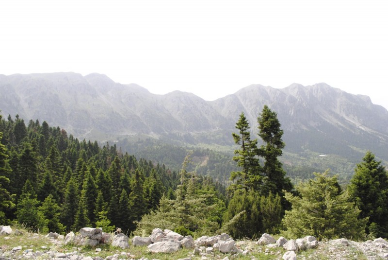_DSC9350.jpg