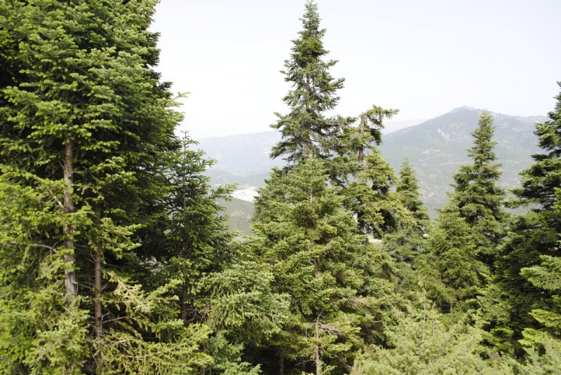_DSC9367.jpg